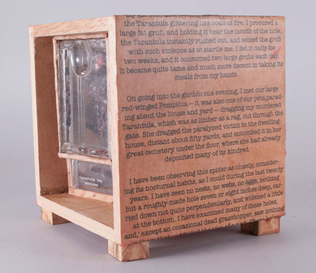 Tarantula Box